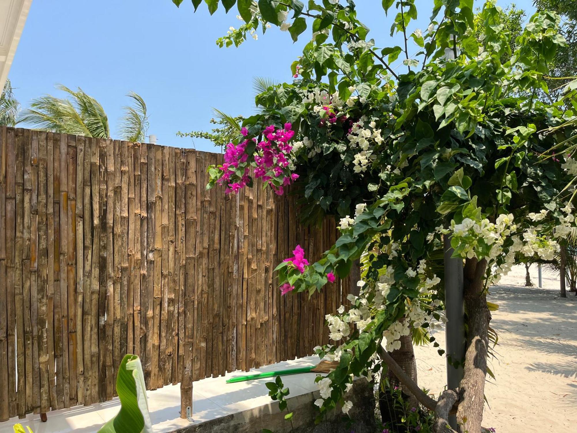 Robinson Beach Bungalow Vinh Hoa エクステリア 写真